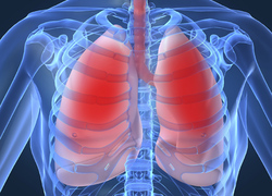 Normal_lungdiseases