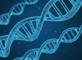 Normal_dna